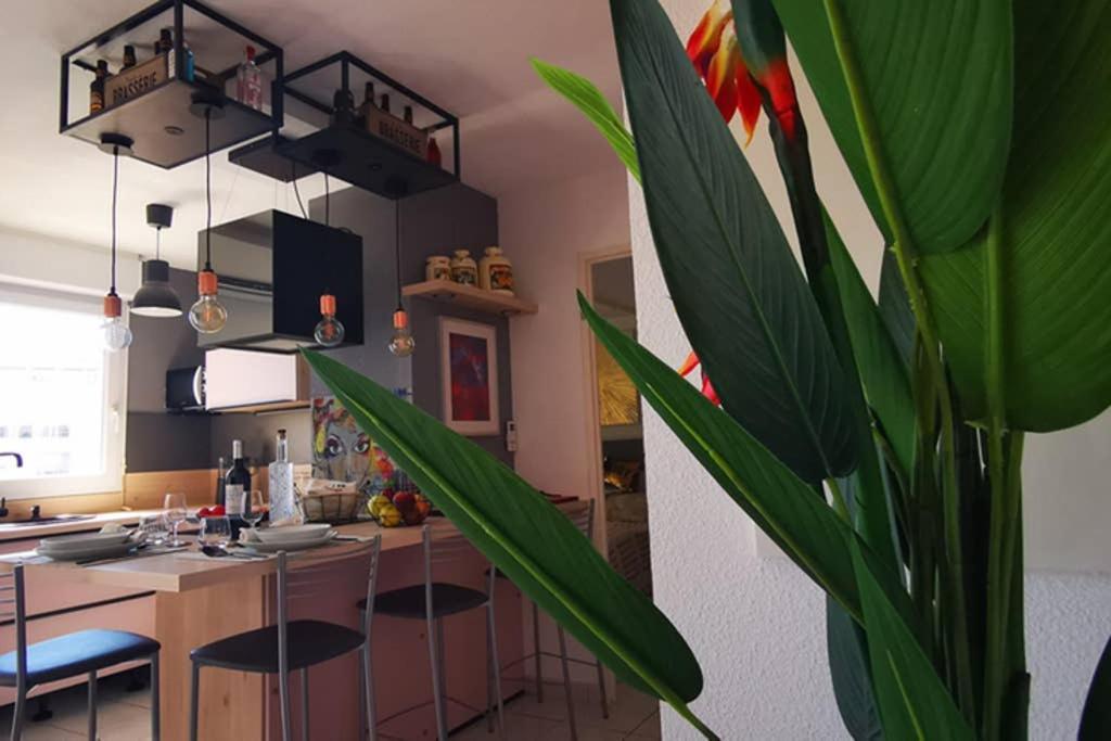 Appartement Premium, Proche Faculte & Centre Ville Ideal Digital Nomad แปร์ปินญอง ภายนอก รูปภาพ